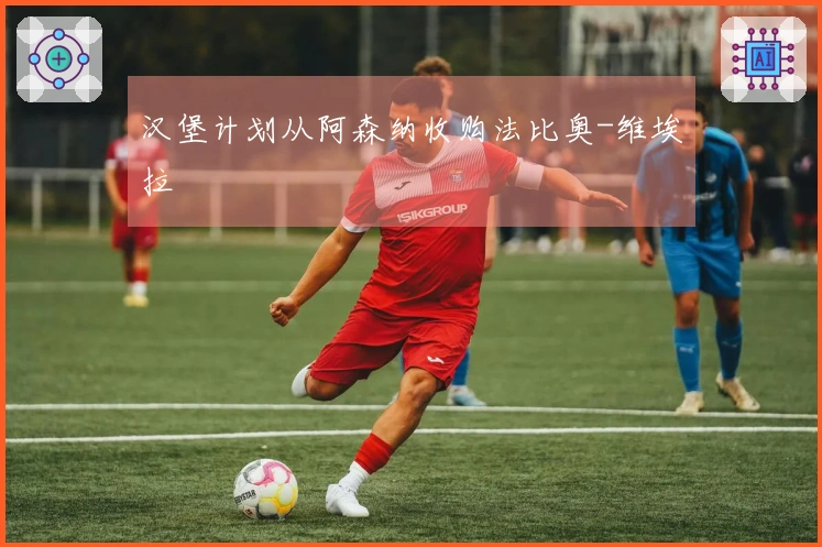 汉堡计划从阿森纳收购法比奥-维埃拉