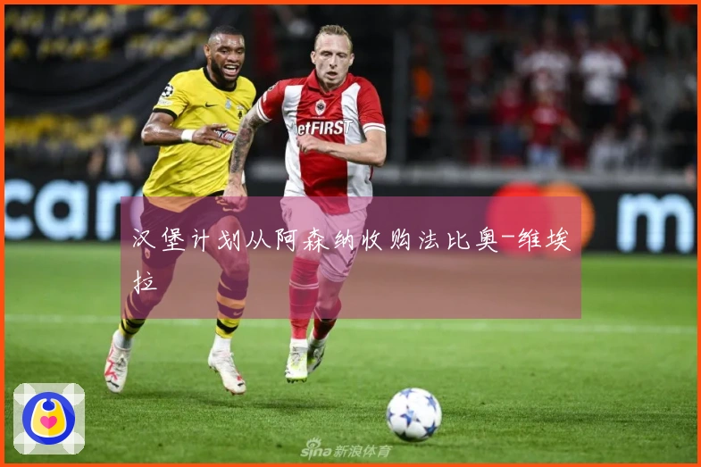 汉堡计划从阿森纳收购法比奥-维埃拉