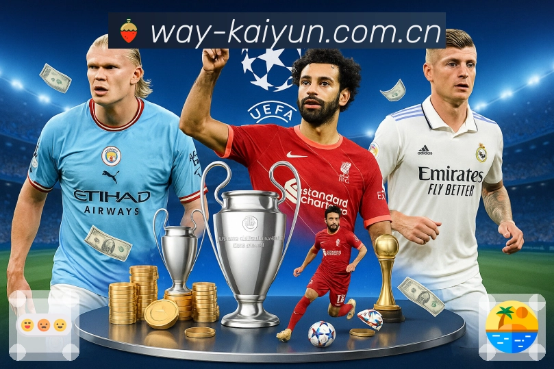 开云平台展示图